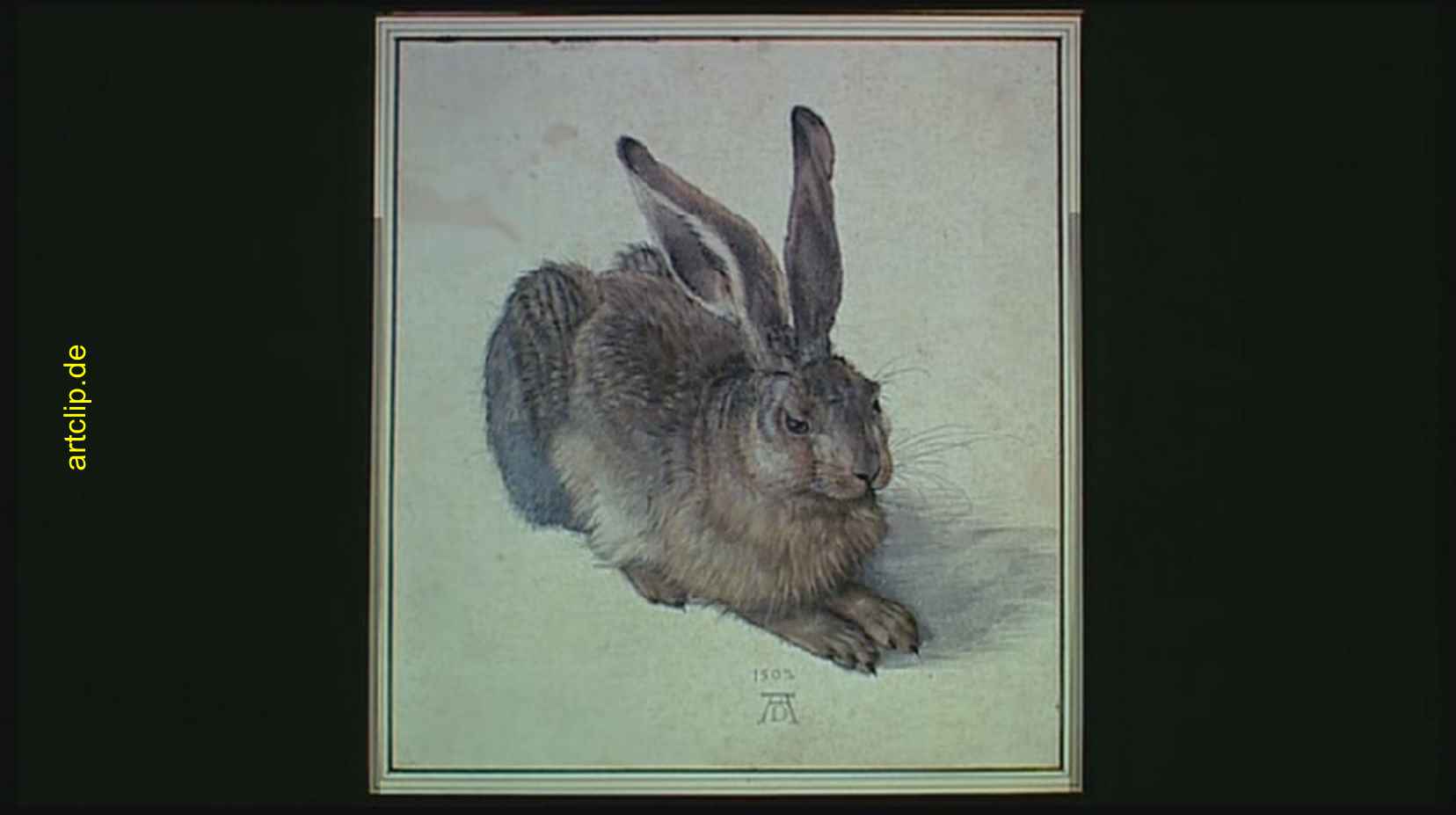 Albrecht Dürer Hase