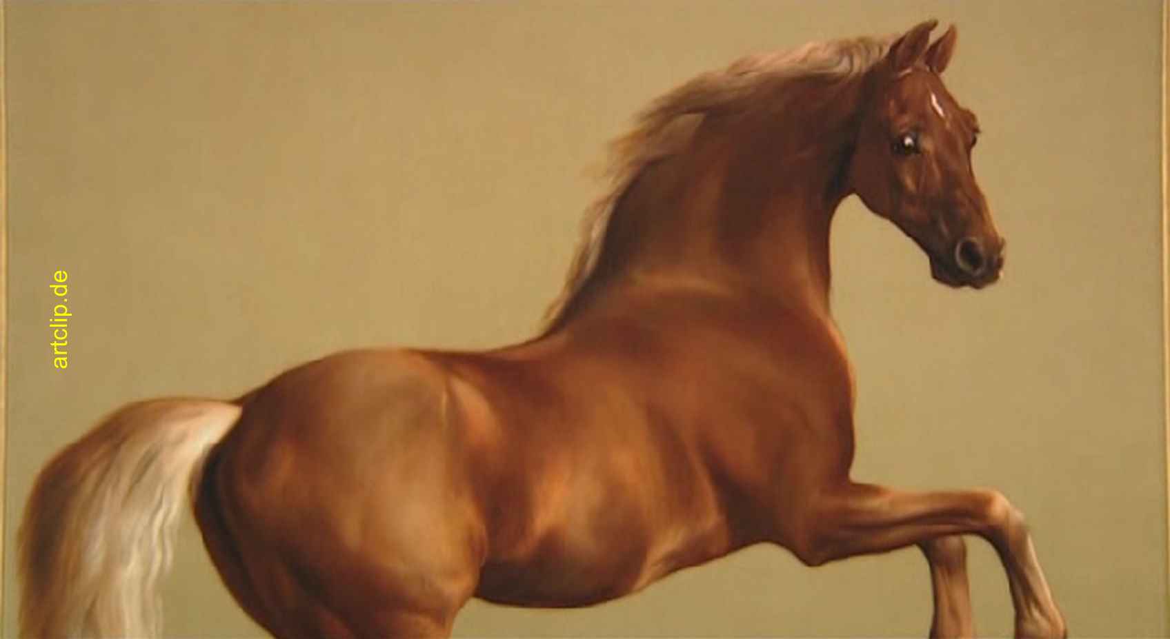 Whistlejacket, 1760