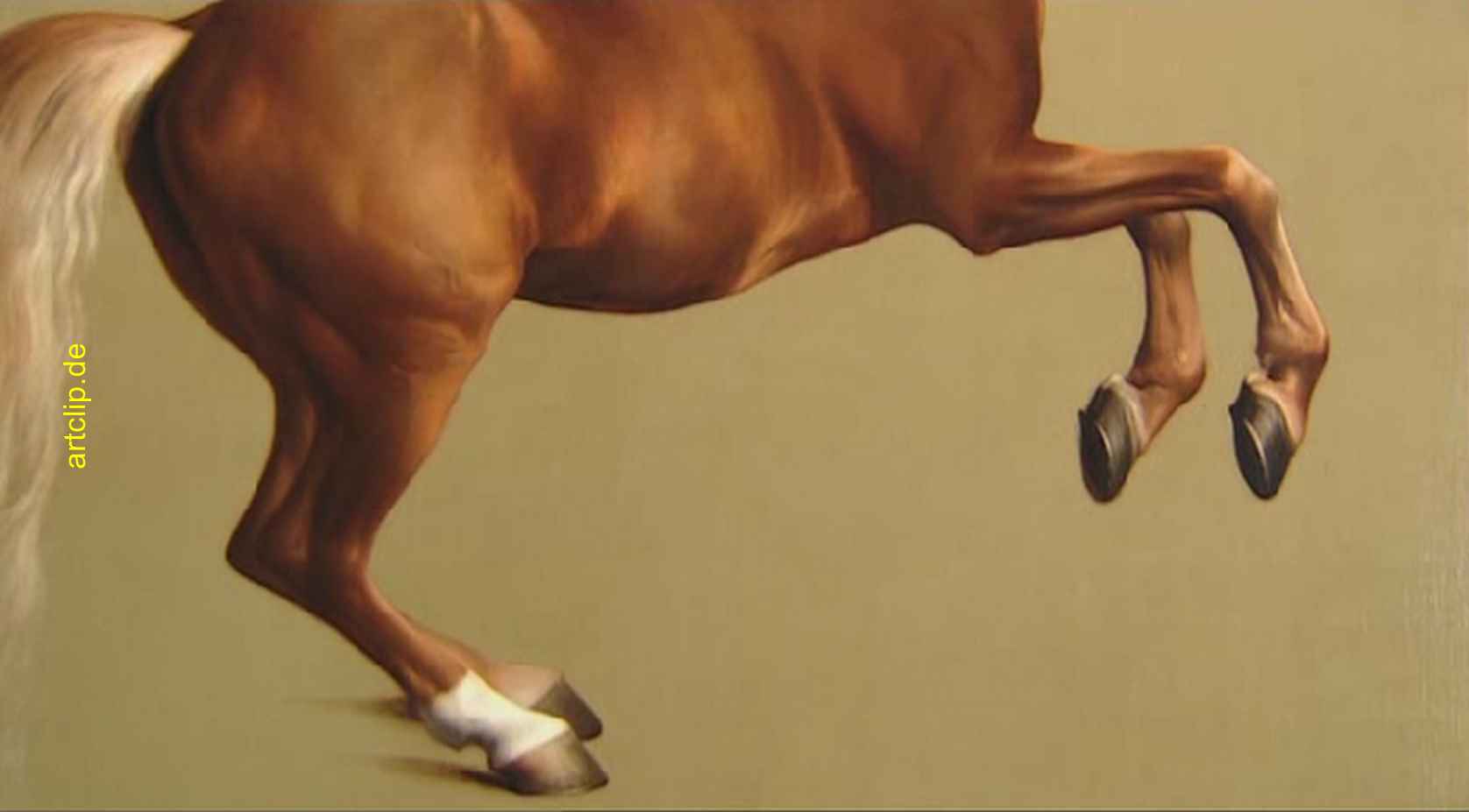 Whistlejacket, 1760